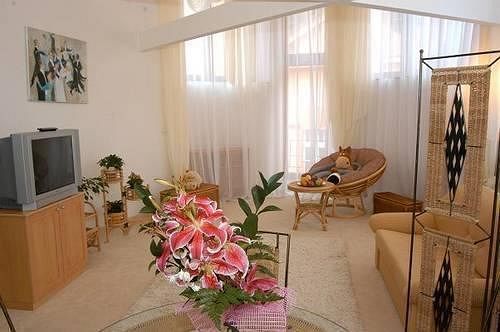 Hotel Petr 4*
